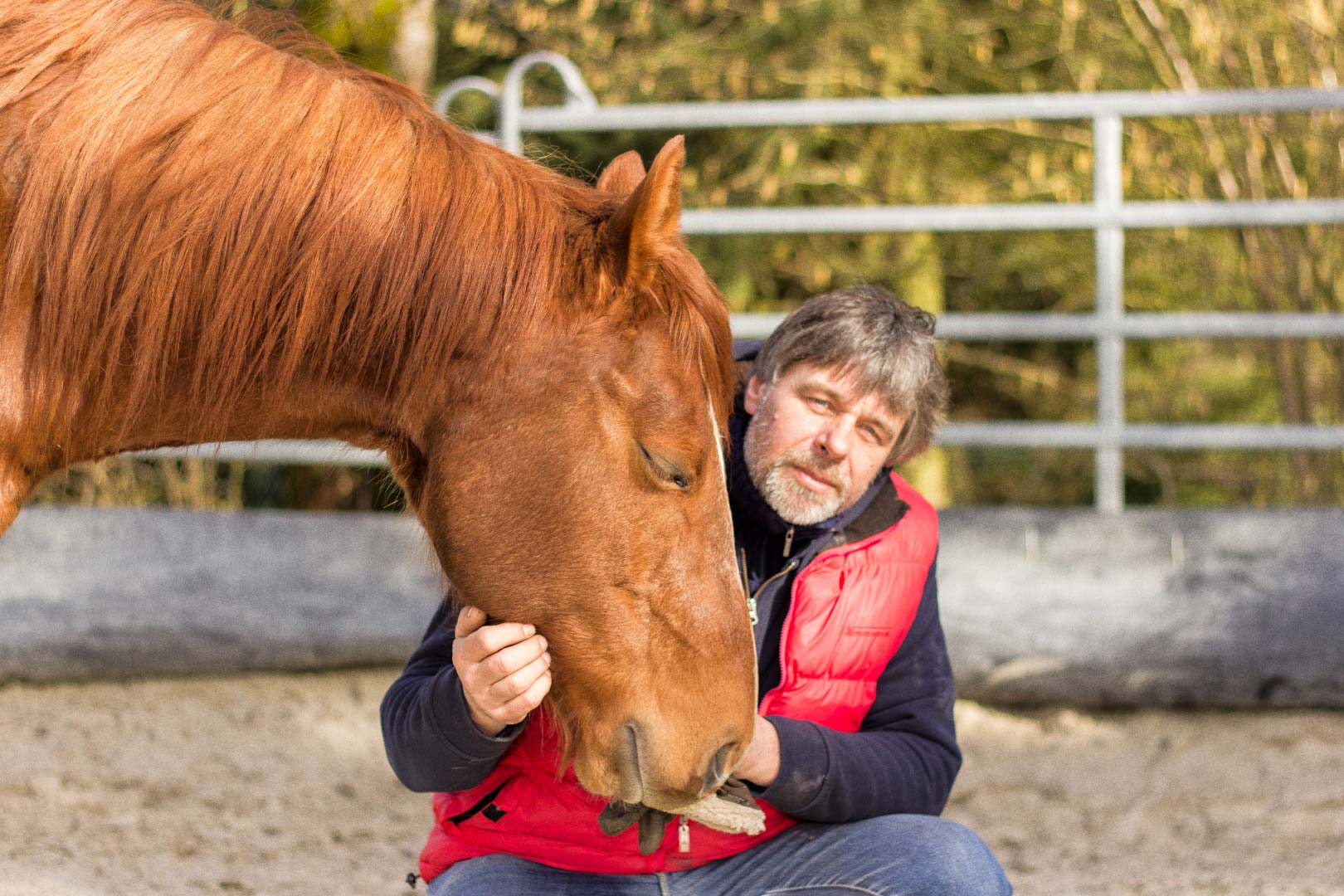 Trainer mit Pferd in harmonischer Verbindung